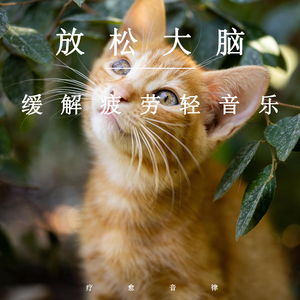 外国胖女人做爱视频
